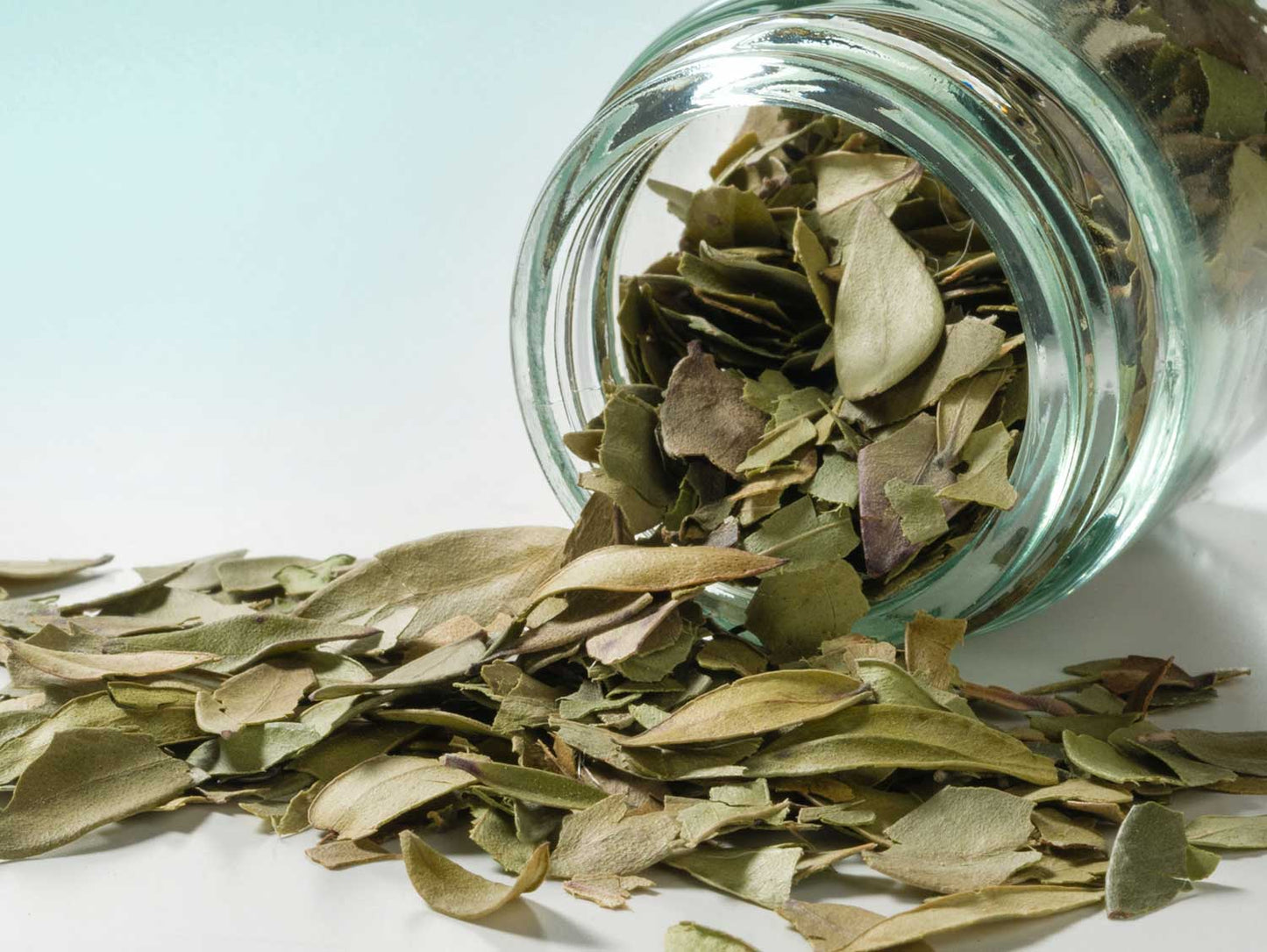 Curry Leaves - Curry Leaves 10g