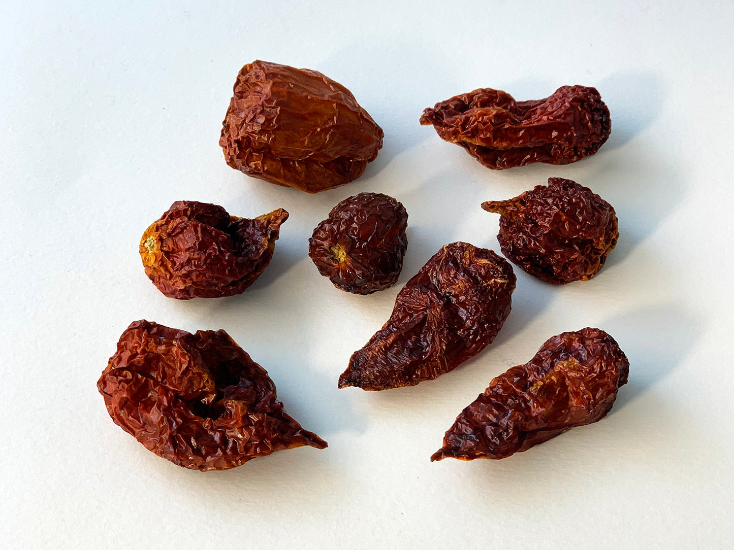 Cijela chilli papričica Trinidad Scorpion 10g