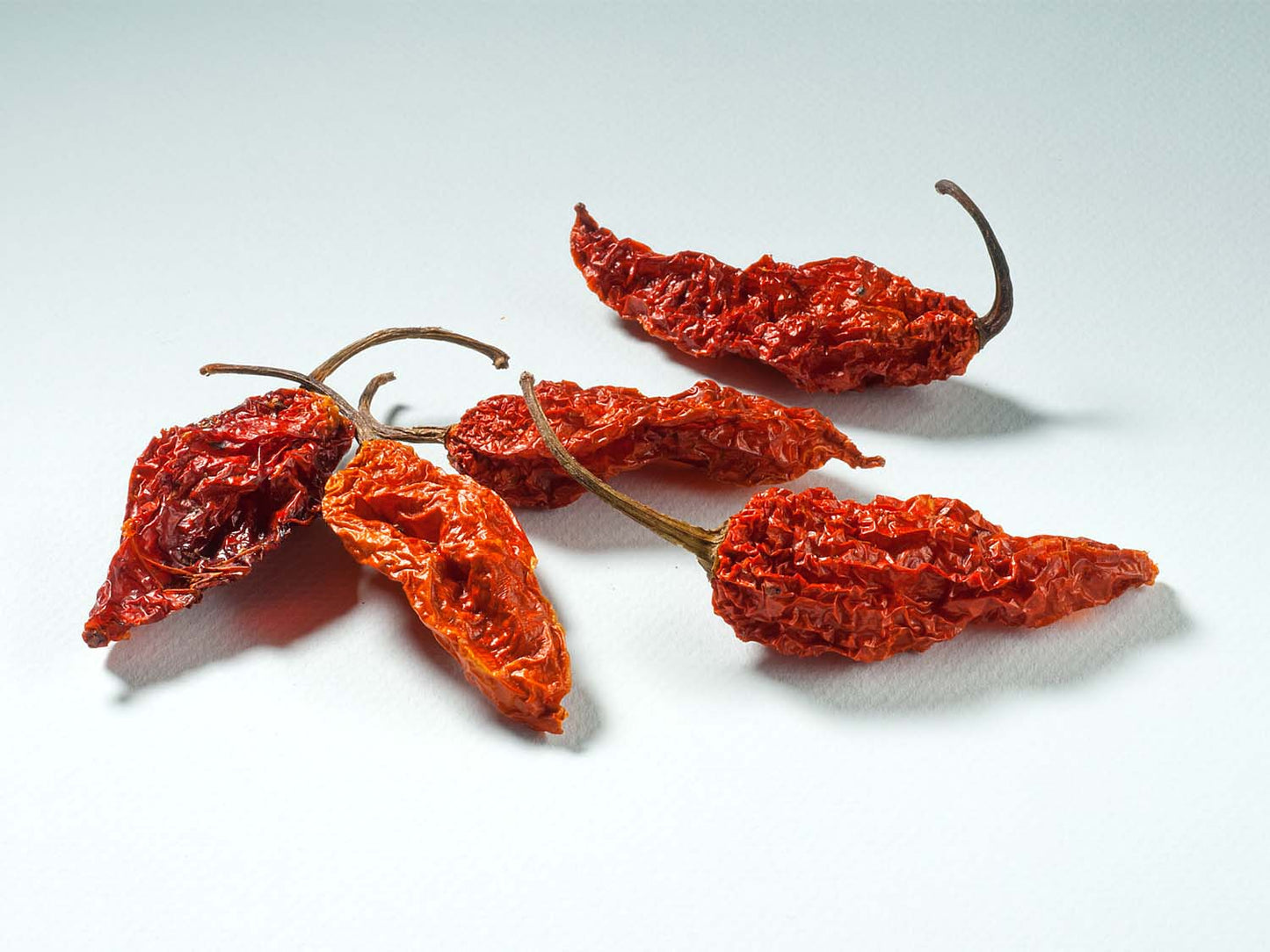 Naga Bhut Jolokia dimljena cijelih 10g